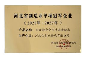 Champion of Bearing Unit Manufacturing